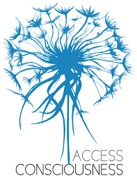 Acces Consciousness