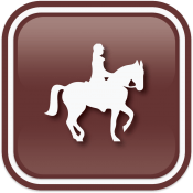 Paarden